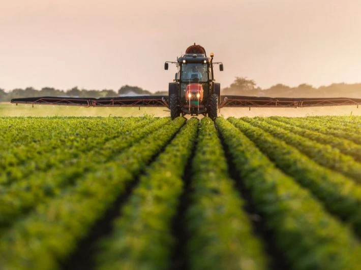 محاصيل زراعية